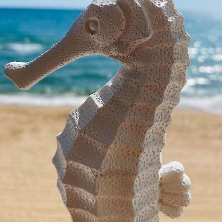 Caballito De Mar Tavernes de Valldigna Ngoại thất bức ảnh