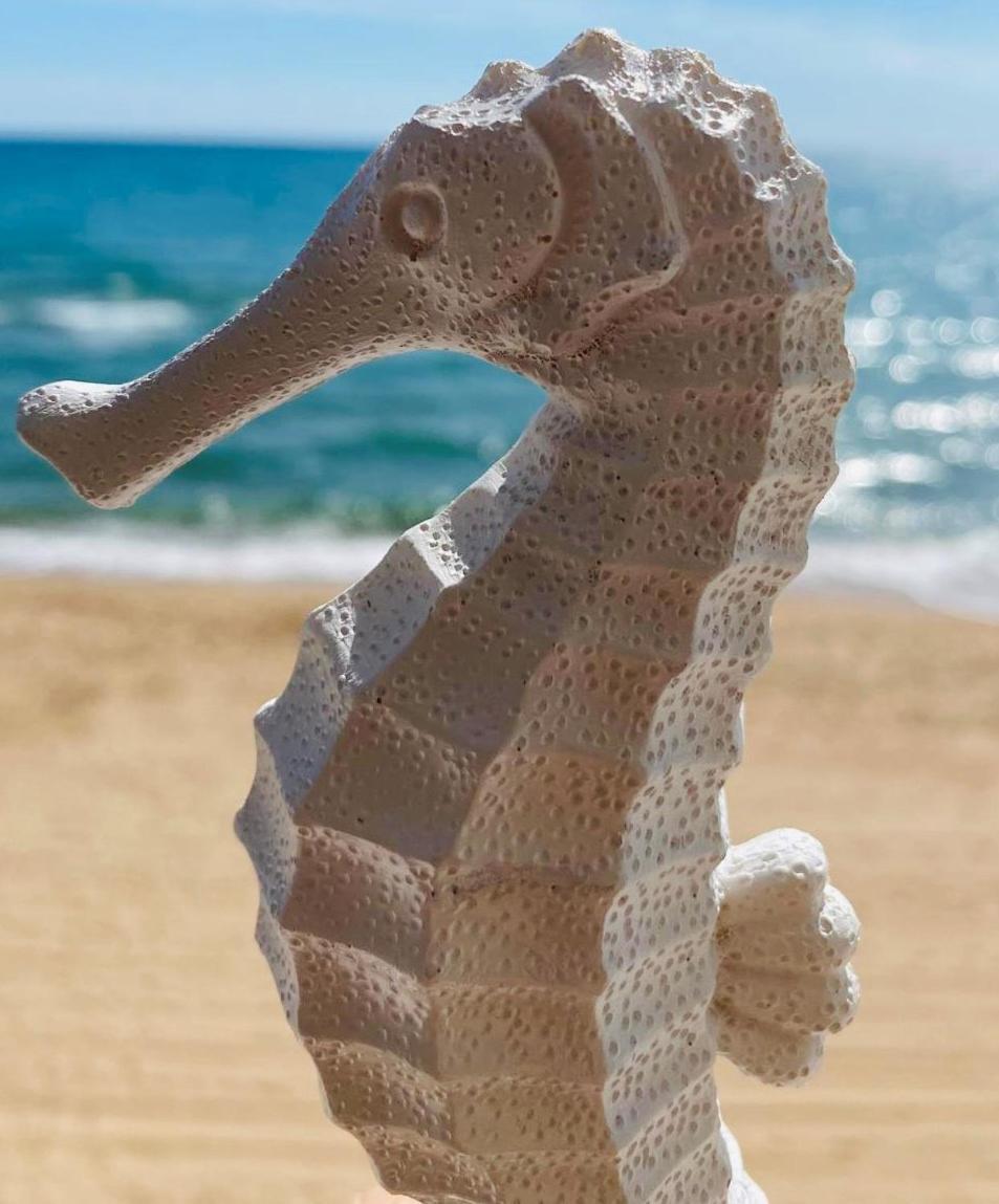 Caballito De Mar Tavernes de Valldigna Ngoại thất bức ảnh